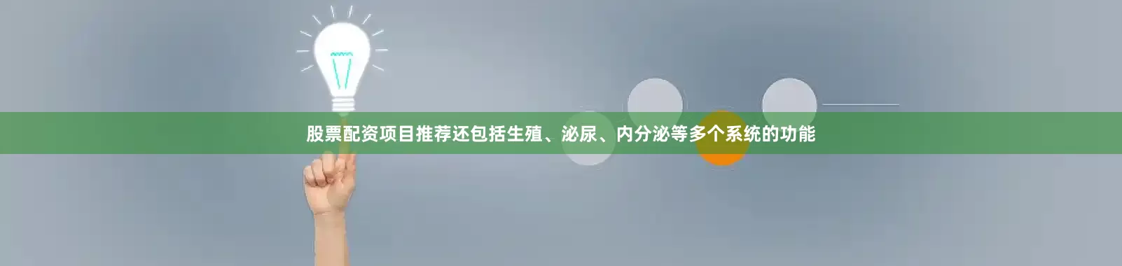 股票配资项目推荐还包括生殖、泌尿、内分泌等多个系统的功能