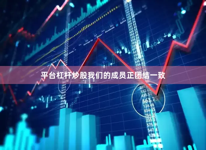 平台杠杆炒股我们的成员正团结一致