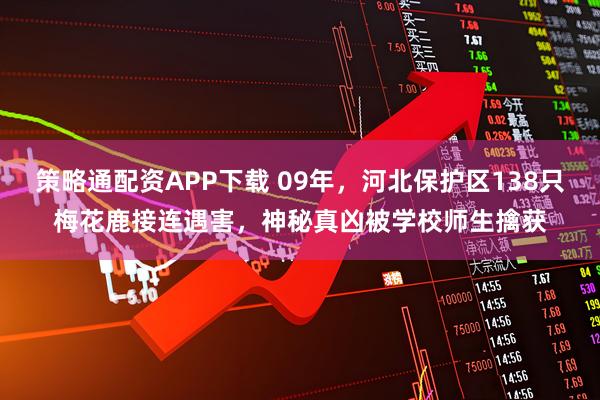 策略通配资APP下载 09年，河北保护区138只梅花鹿接连遇害，神秘真凶被学校师生擒获