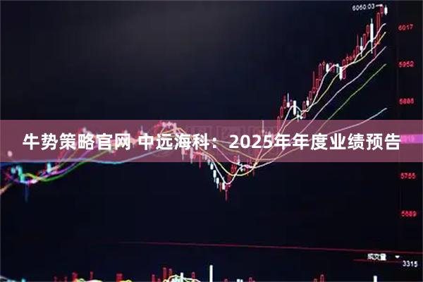 牛势策略官网 中远海科：2025年年度业绩预告