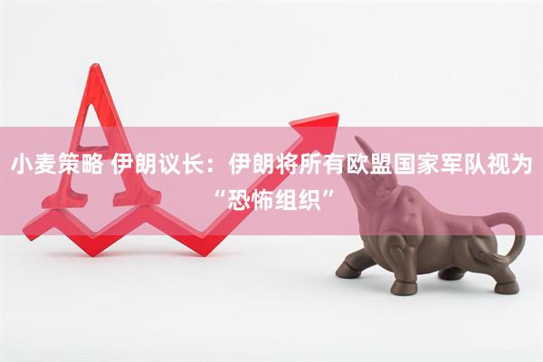 小麦策略 伊朗议长：伊朗将所有欧盟国家军队视为“恐怖组织”
